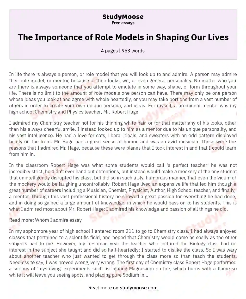 The Importance of Role Models in Shaping Our Lives essay