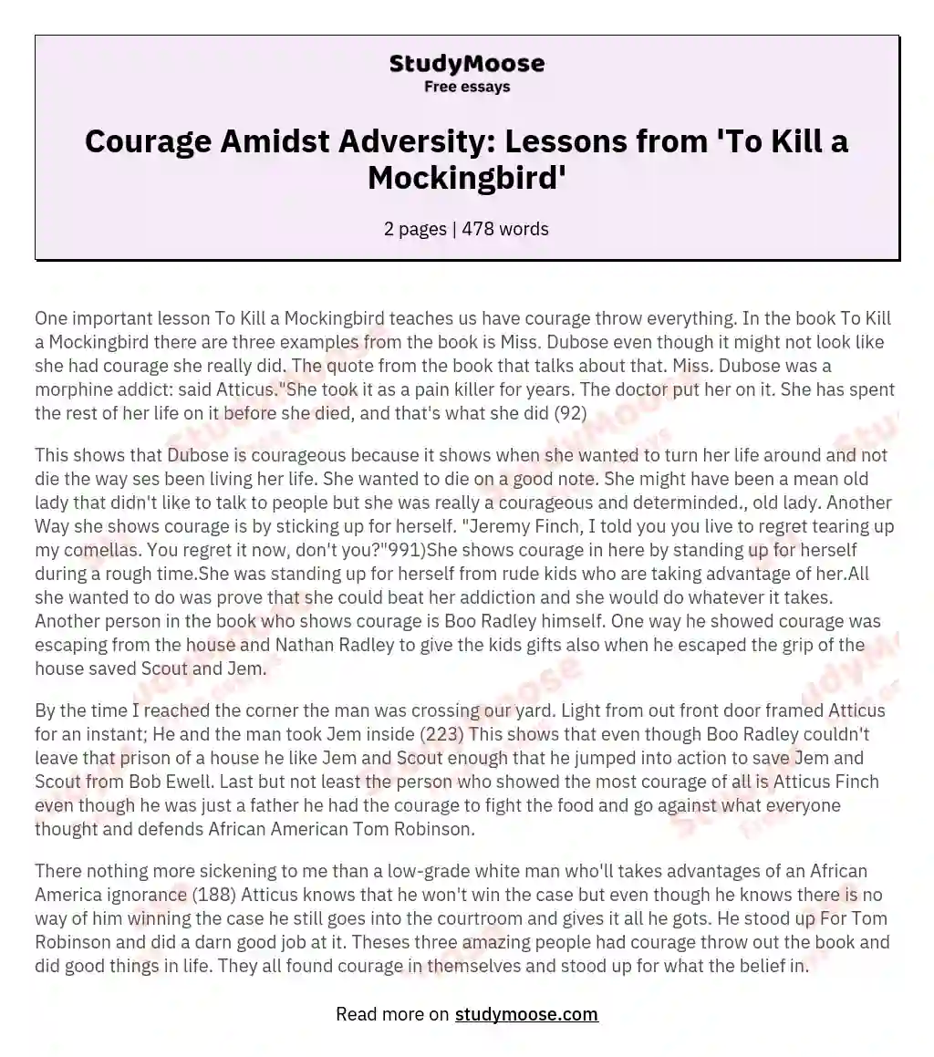 Courage Amidst Adversity: Lessons from 'To Kill a Mockingbird' essay