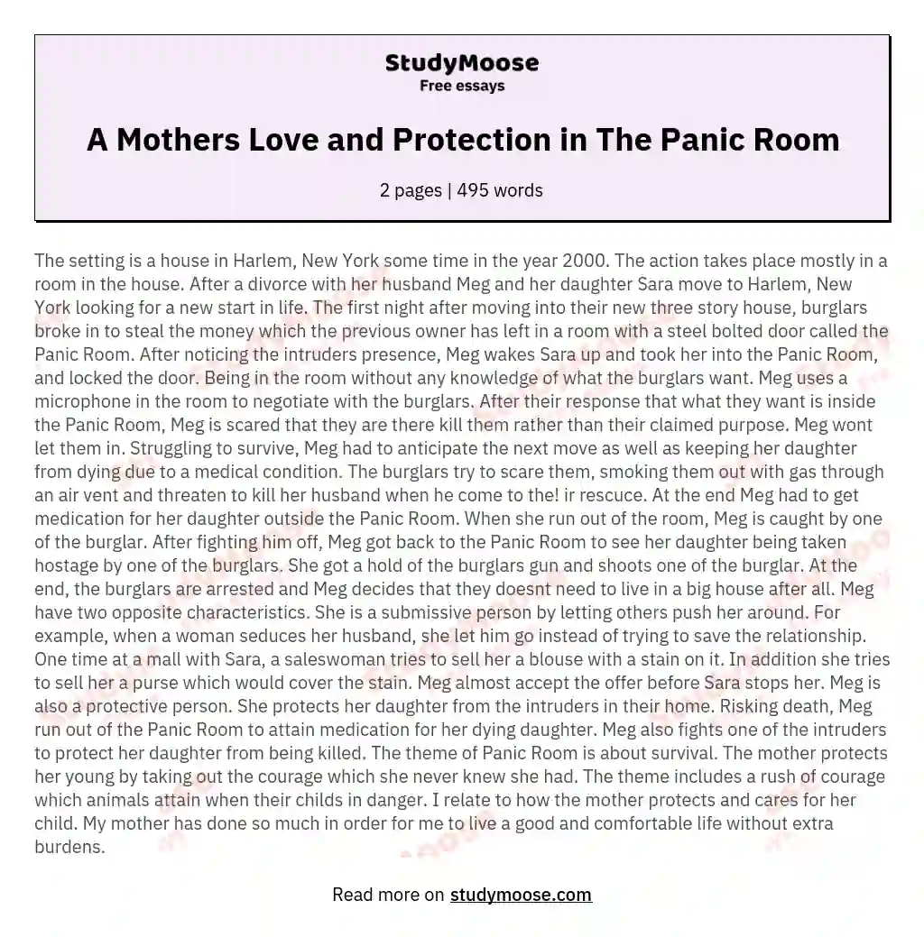 A Mothers Love and Protection in The Panic Room essay