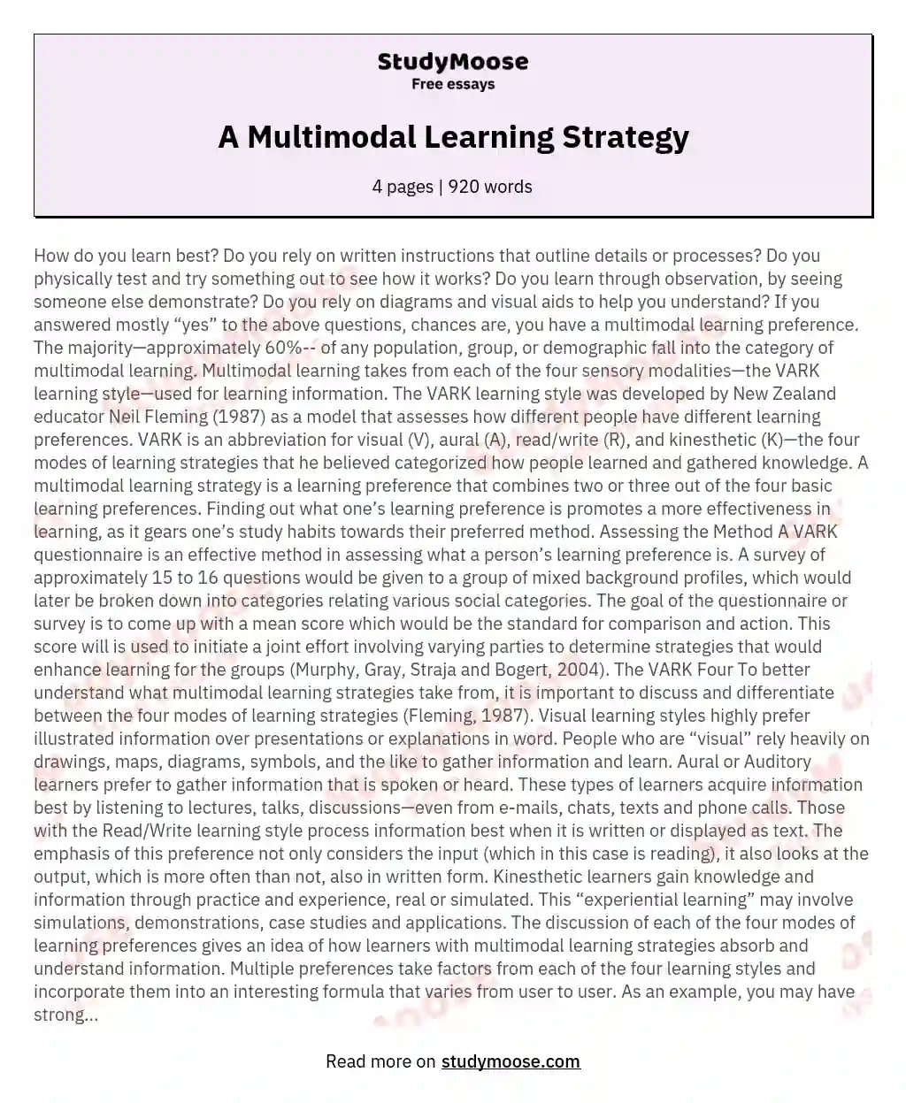 A Multimodal Learning Strategy essay