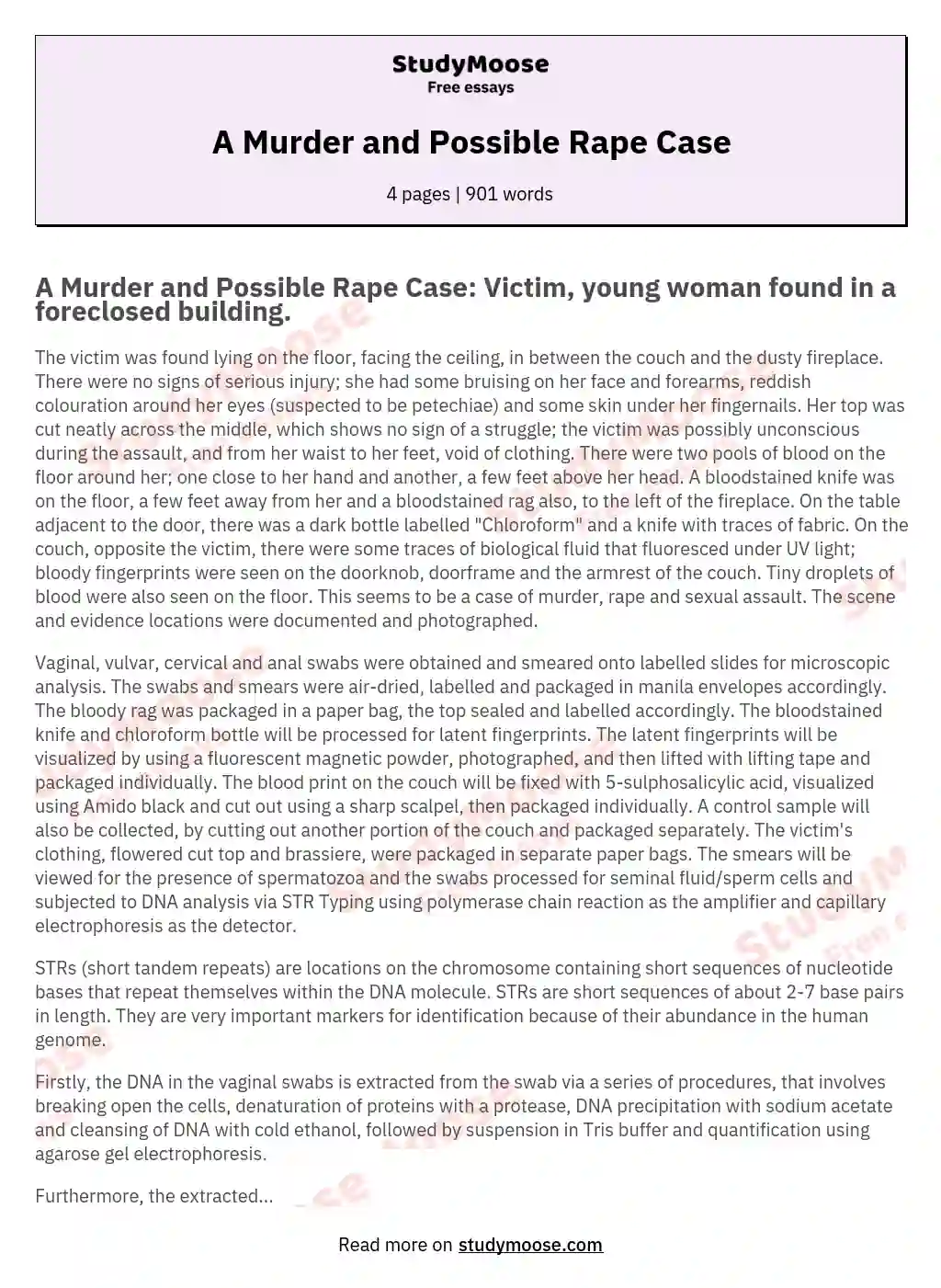A Murder and Possible Rape Case essay