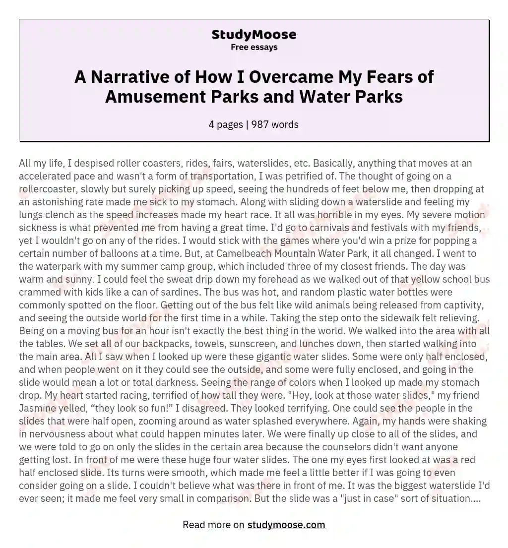 A Narrative of How I Overcame My Fears of Amusement Parks and Water Parks essay