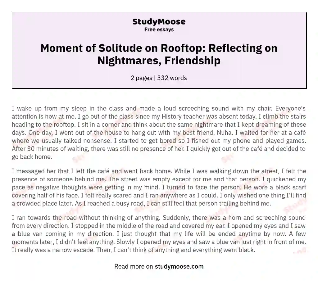 Moment of Solitude on Rooftop: Reflecting on Nightmares, Friendship essay