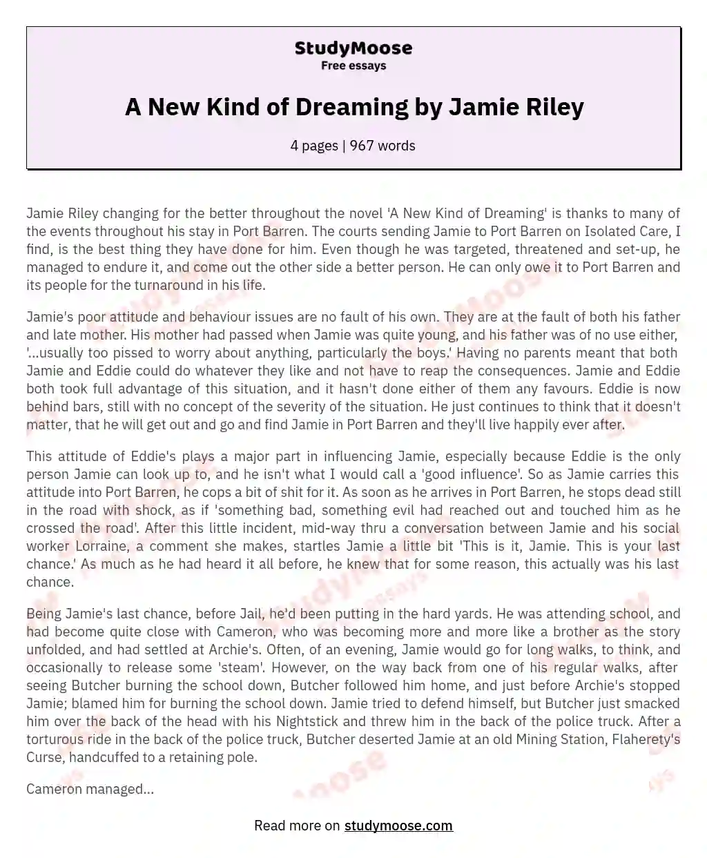 A New Kind of Dreaming by Jamie Riley essay