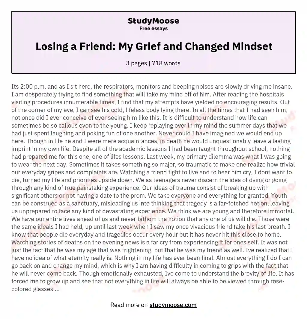 Losing a Friend: My Grief and Changed Mindset essay