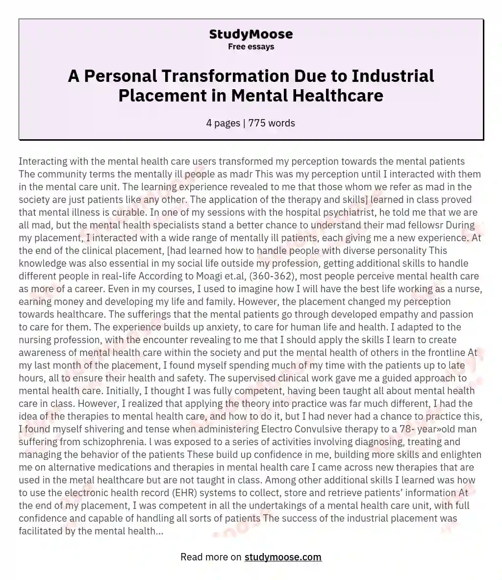 A Personal Transformation Due to Industrial Placement in Mental Healthcare essay