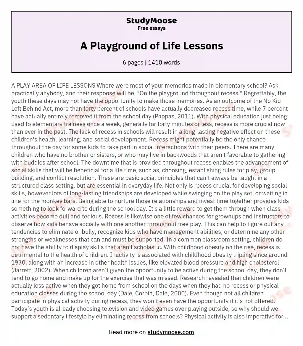 A Playground of Life Lessons essay