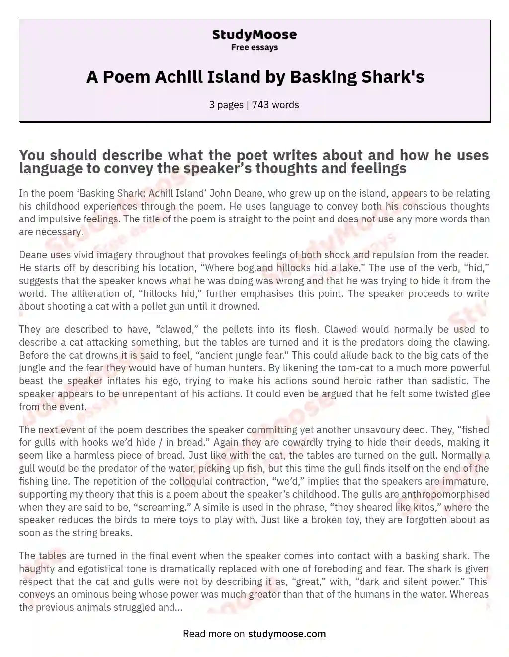 A Poem Achill Island by Basking Shark's essay