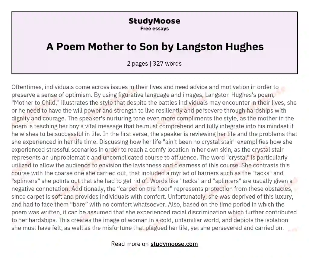 A Poem Mother to Son by Langston Hughes essay
