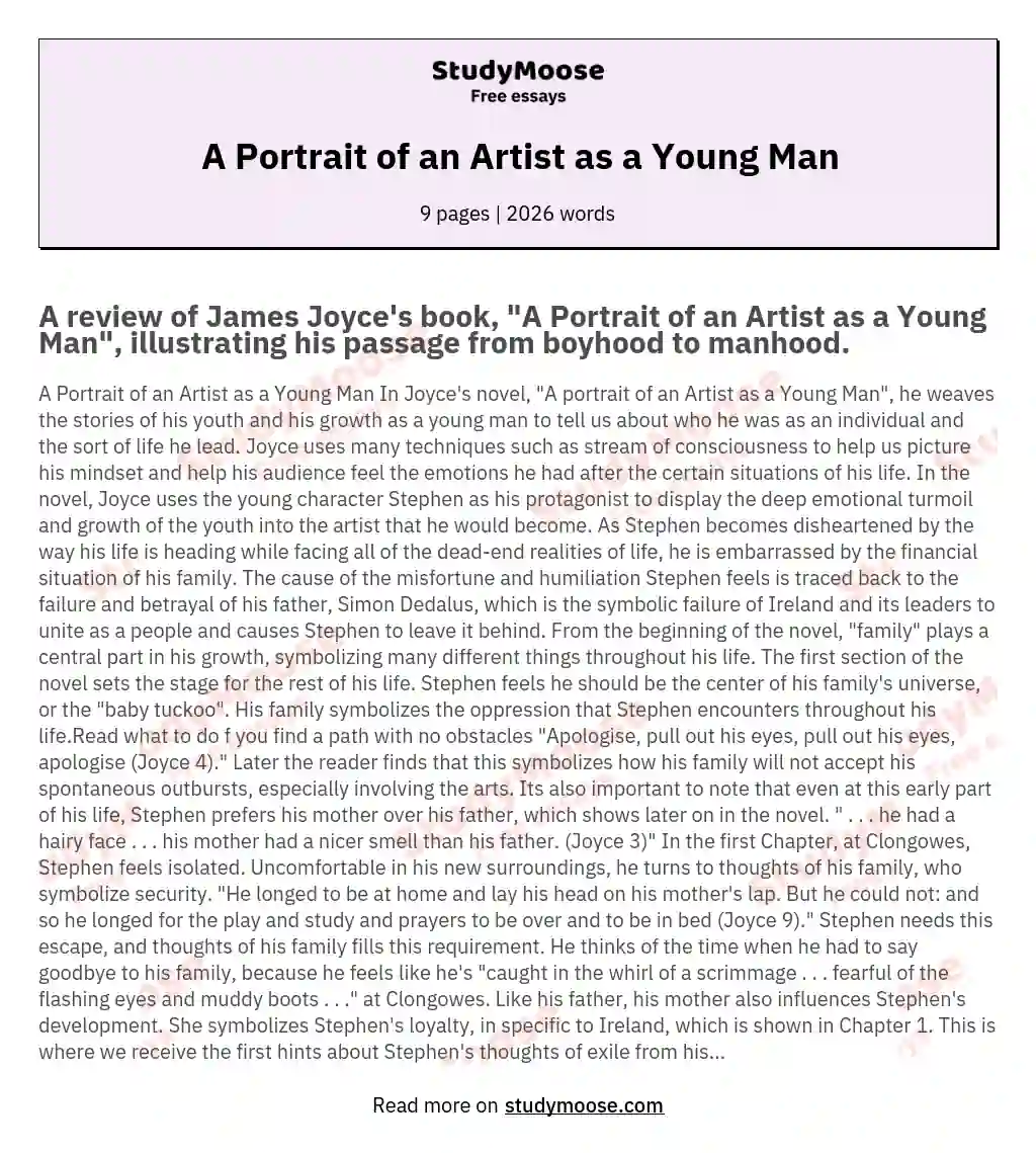 A Portrait of an Artist as a Young Man essay
