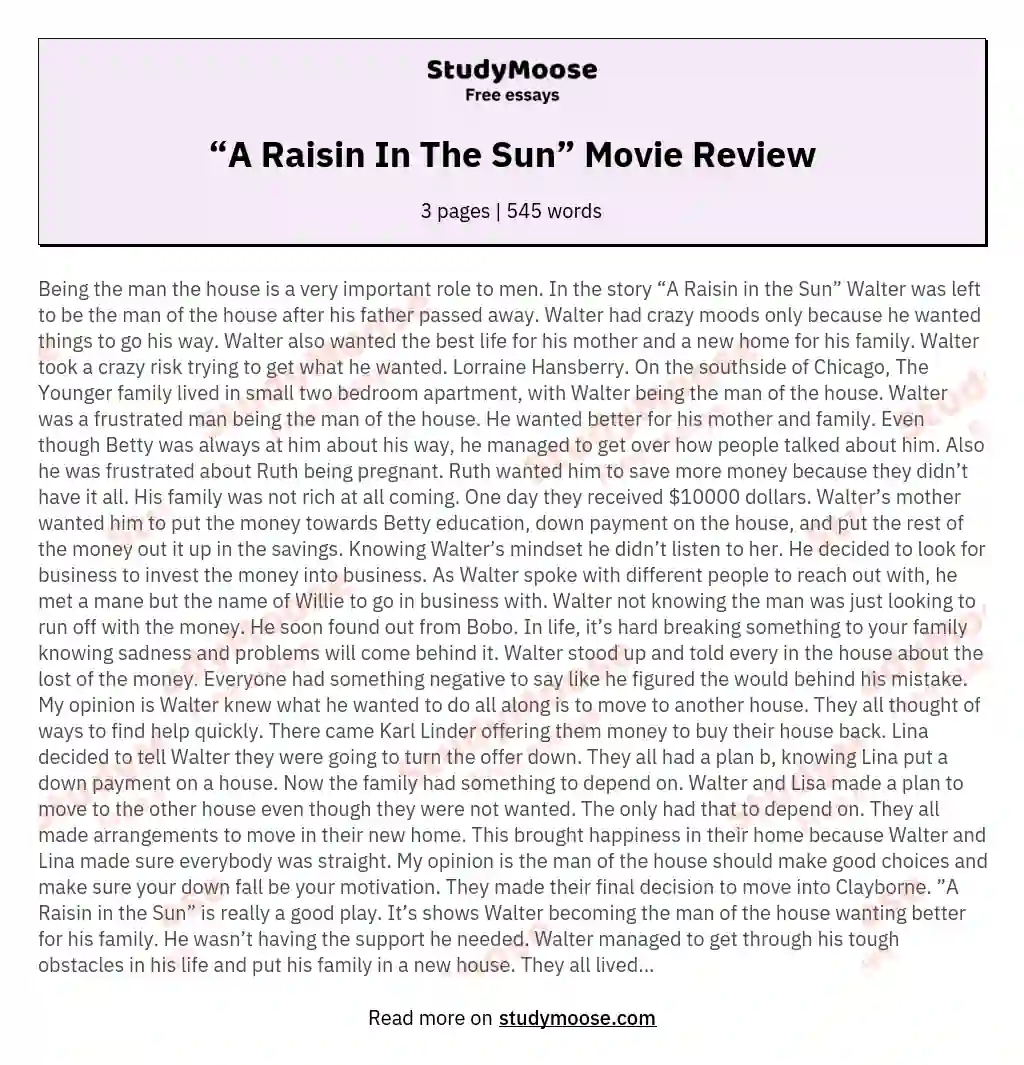 “A Raisin In The Sun” Movie Review essay