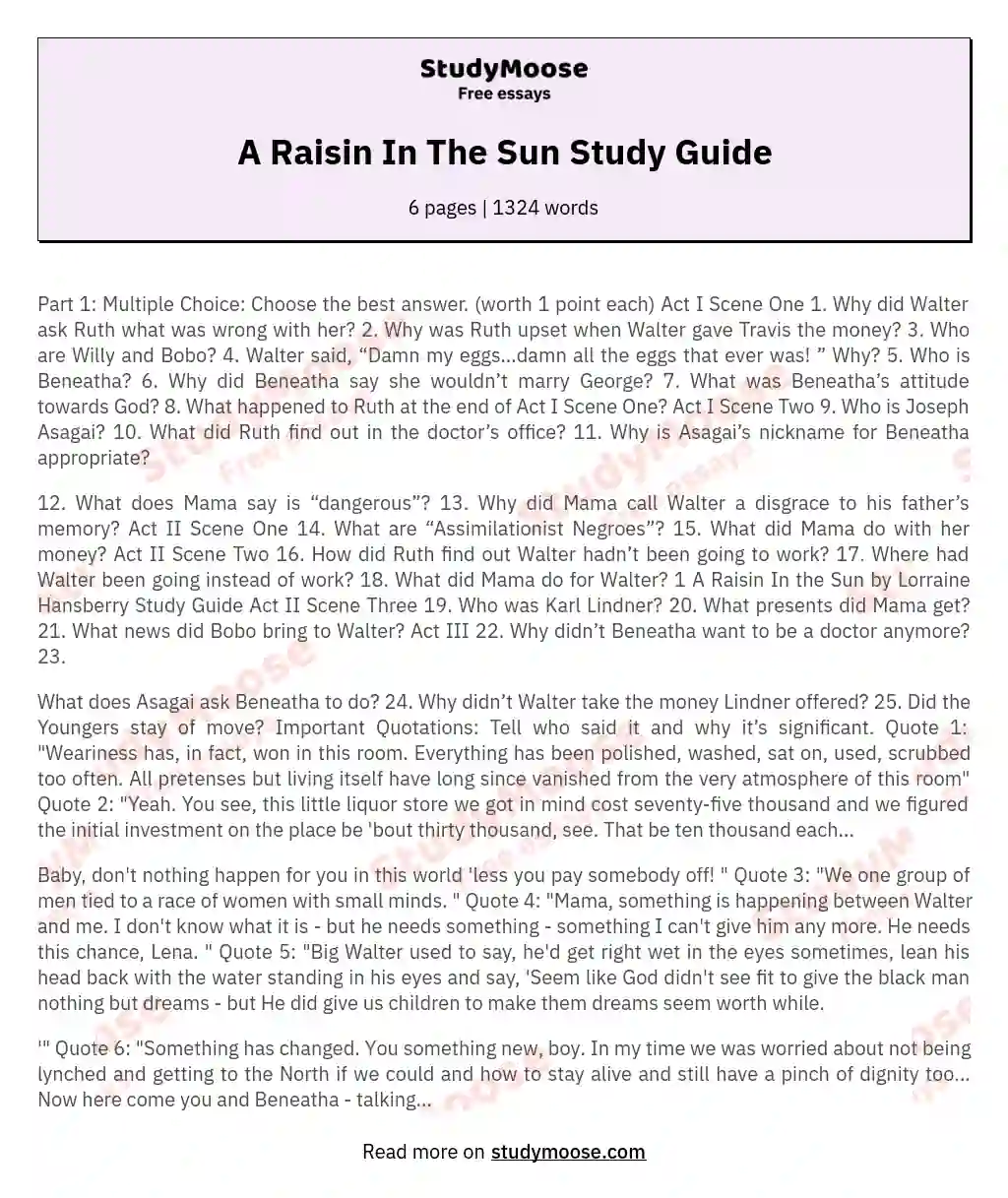 A Raisin In The Sun Study Guide essay