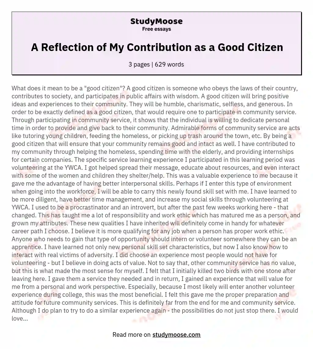 A Reflection of My Contribution as a Good Citizen essay