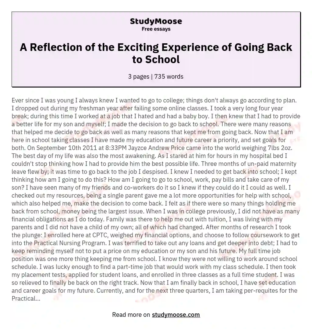 A Reflection of the Exciting Experience of Going Back to School essay