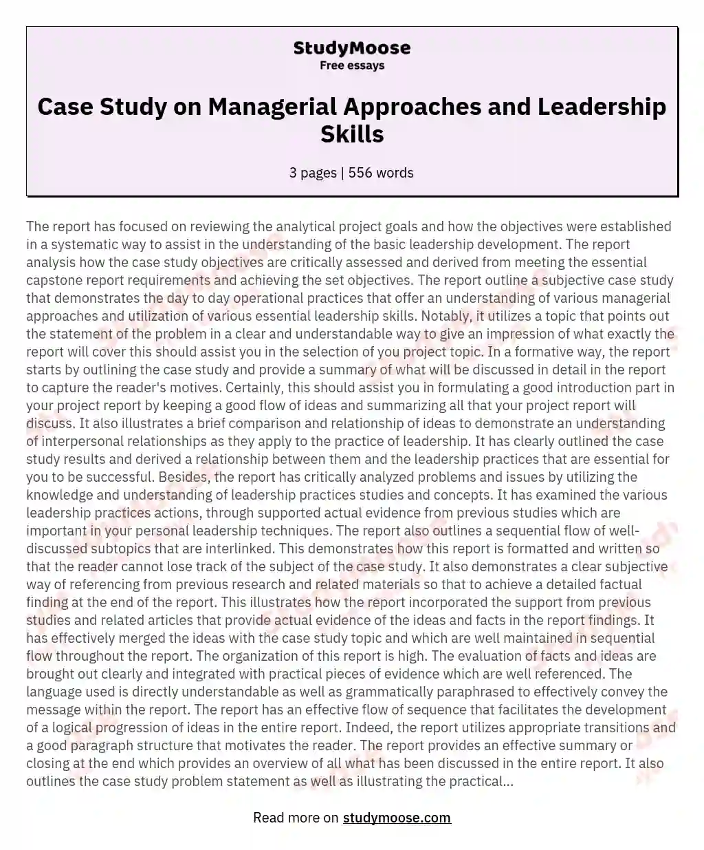 Case Study on Managerial Approaches and Leadership Skills essay
