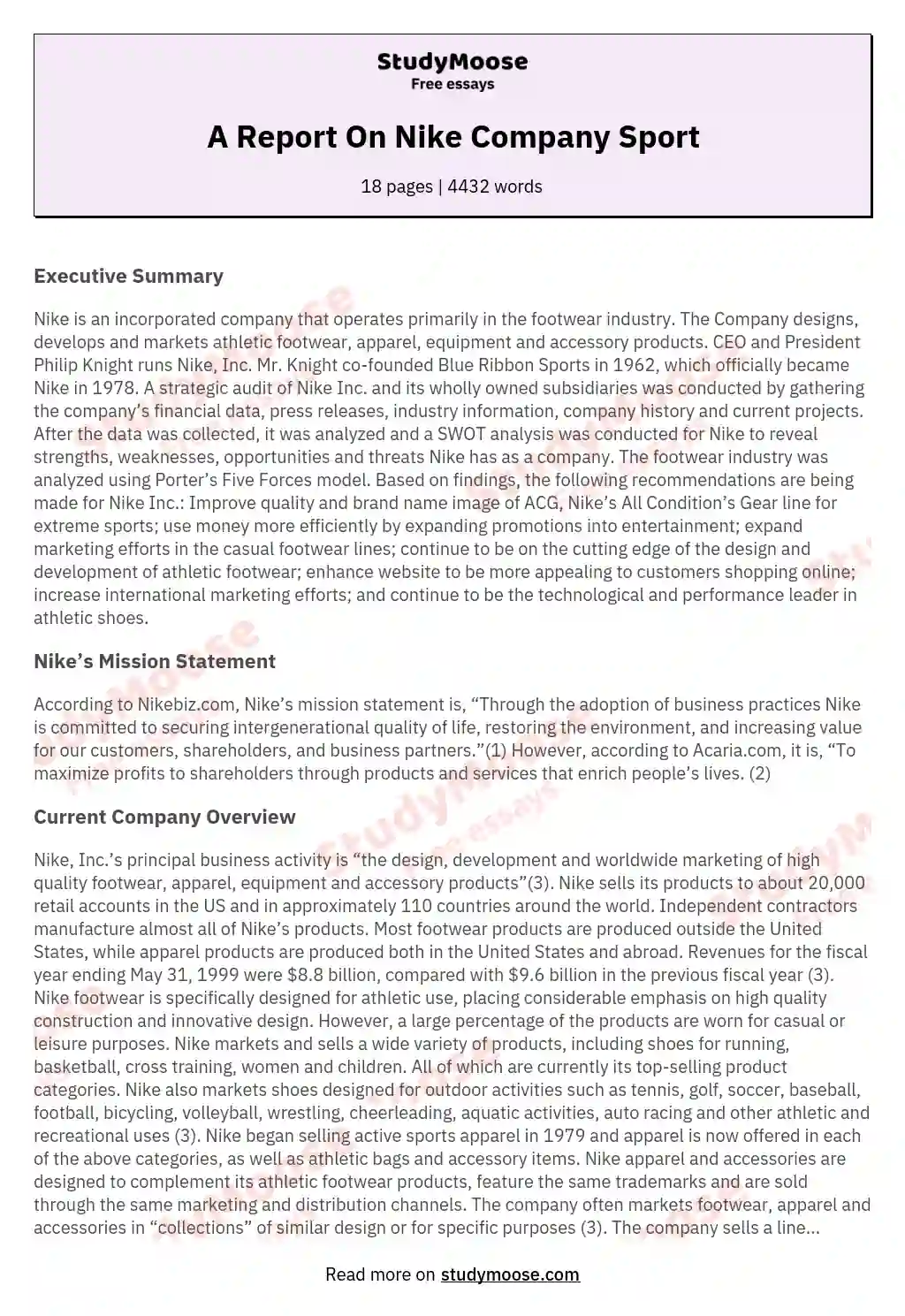 A Report On Nike Company Sport essay