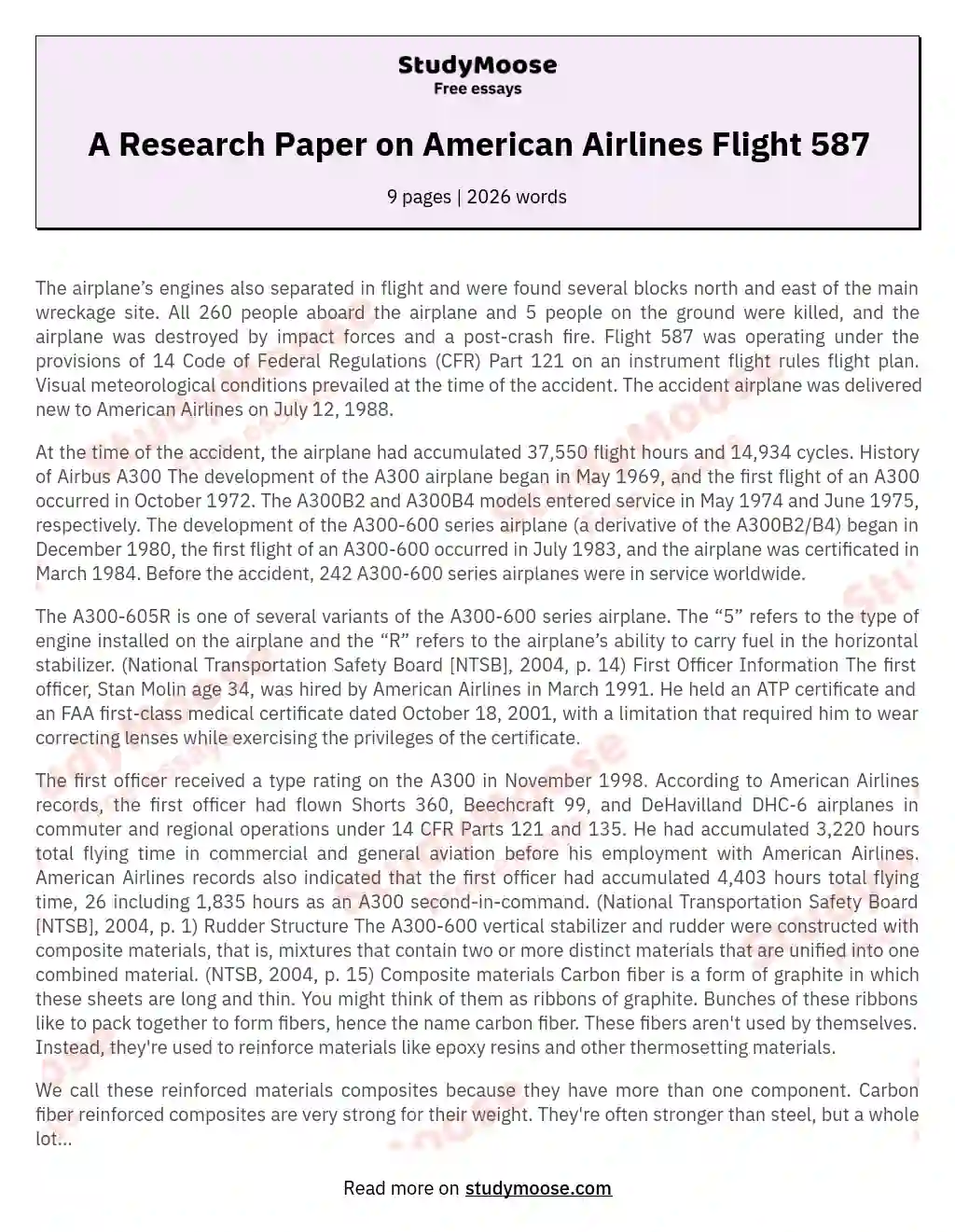 Tragic Crash of American Airlines Flight 587 essay