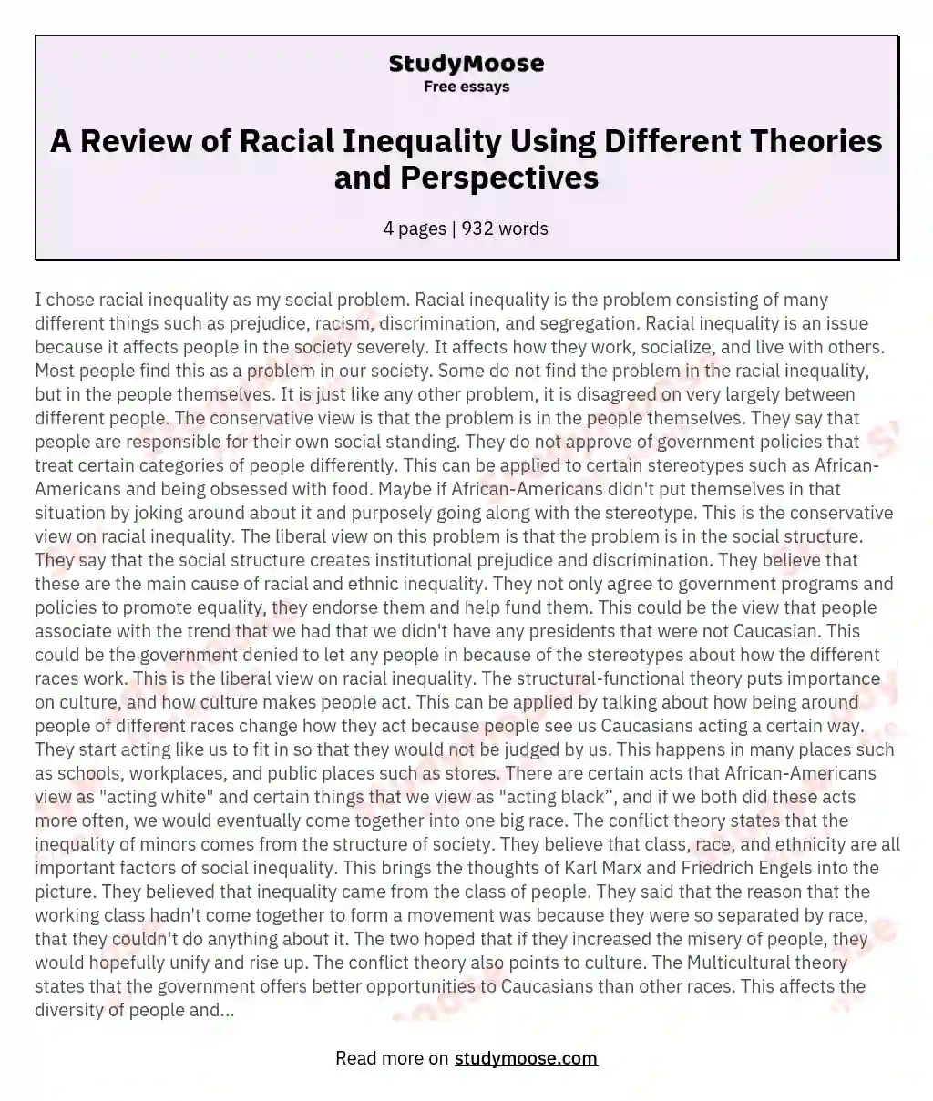 A Review of Racial Inequality Using Different Theories and Perspectives essay