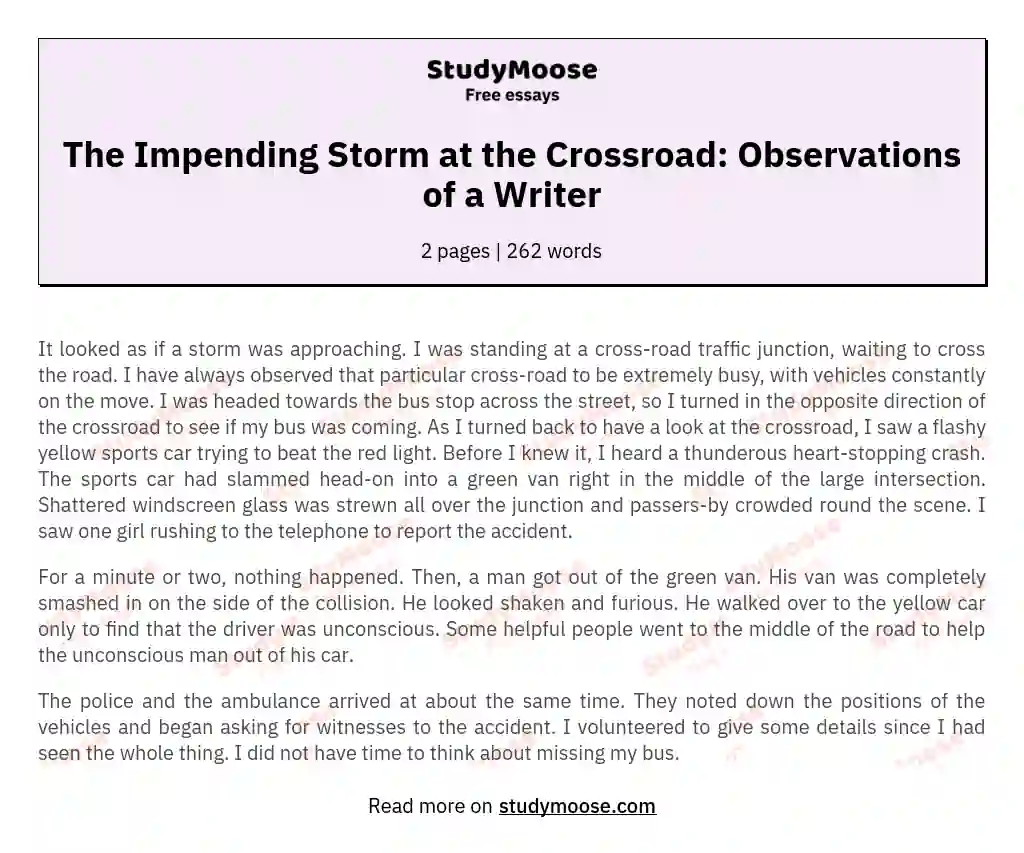 The Impending Storm at the Crossroad: Observations of a Writer essay