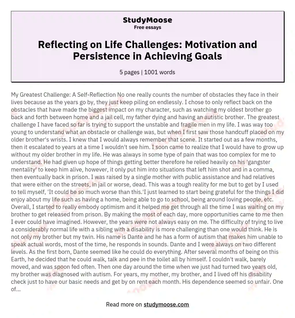 Reflecting on Life Challenges: Motivation and Persistence in Achieving Goals essay