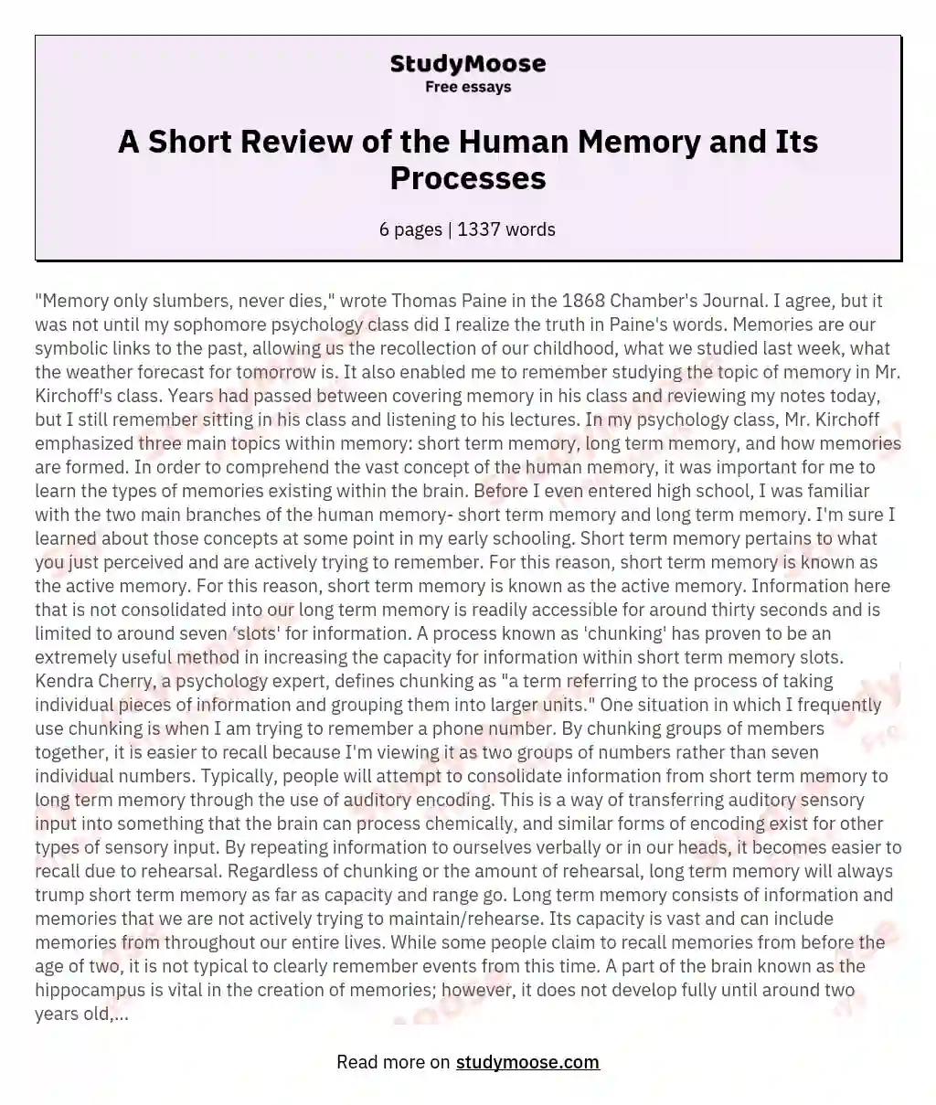 A Short Review of the Human Memory and Its Processes essay