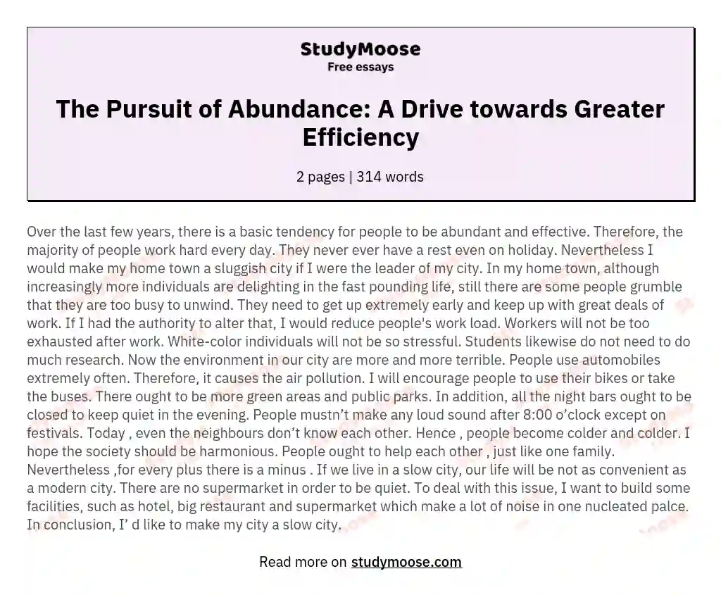 The Pursuit of Abundance: A Drive towards Greater Efficiency essay
