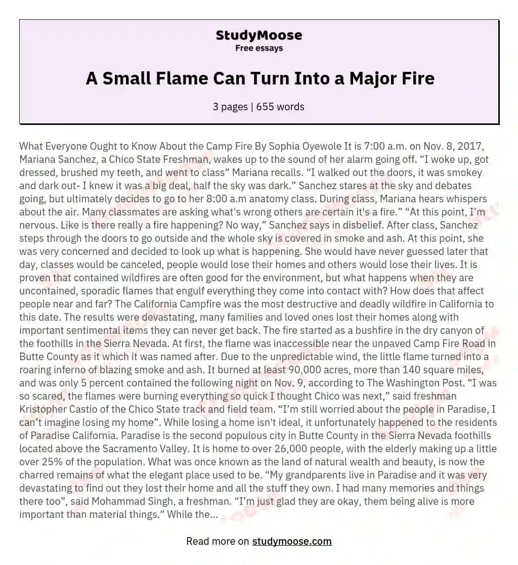 A Small Flame Can Turn Into a Major Fire essay