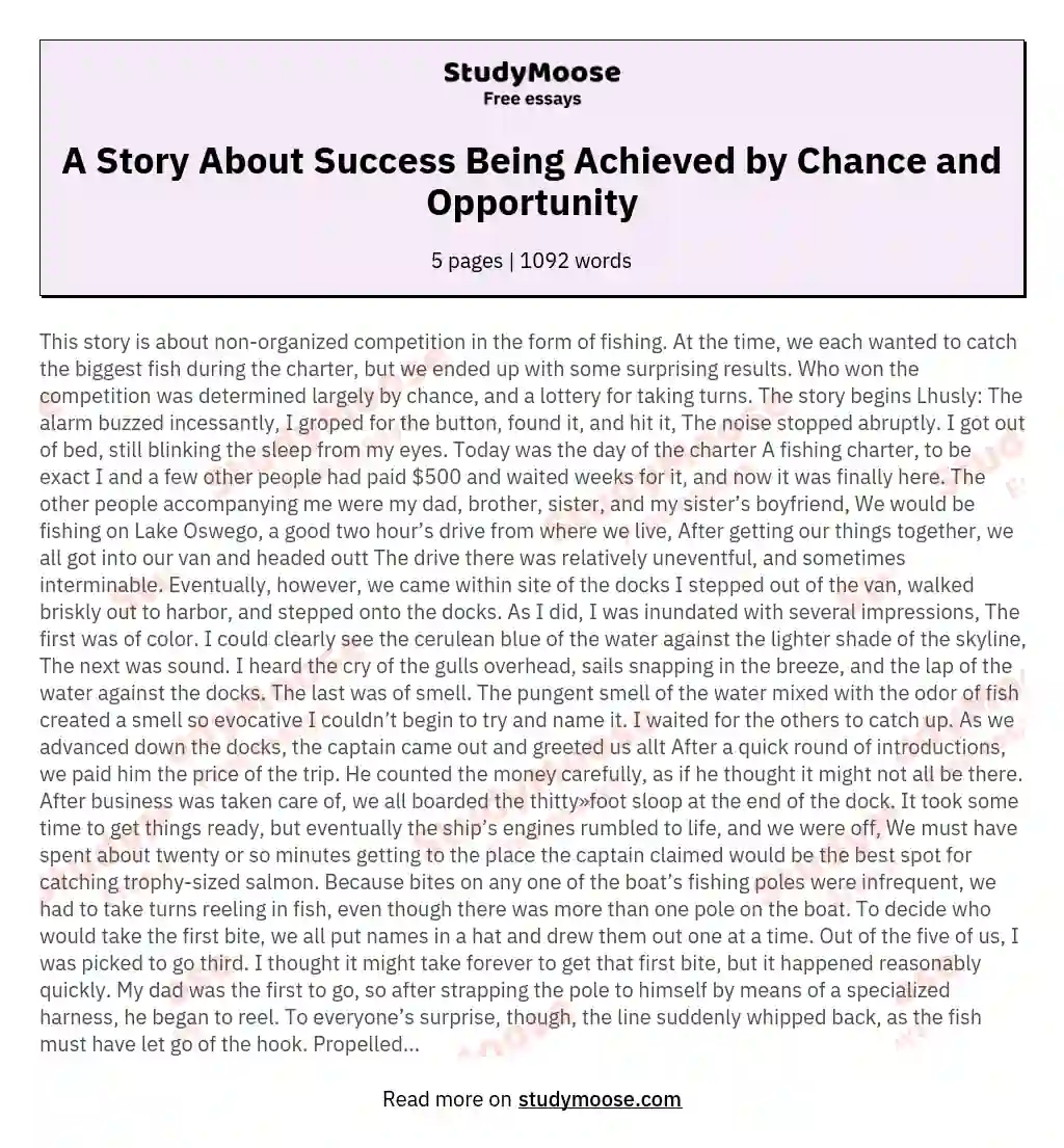 A Story About Success Being Achieved by Chance and Opportunity essay