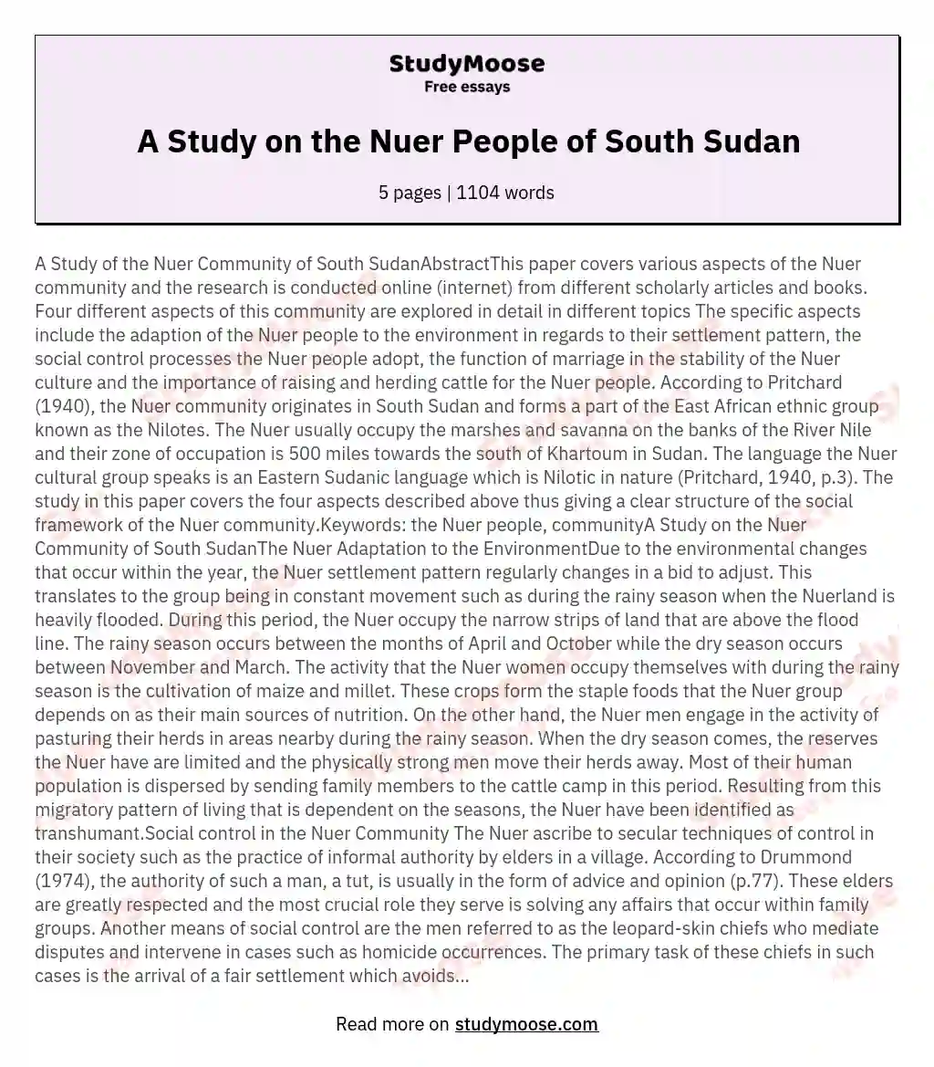 A Study on the Nuer People of South Sudan essay
