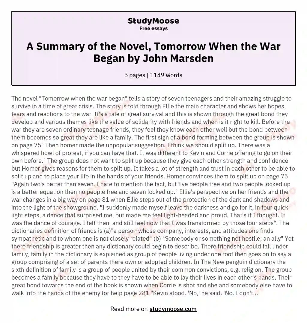 A Summary of the Novel, Tomorrow When the War Began by John Marsden essay