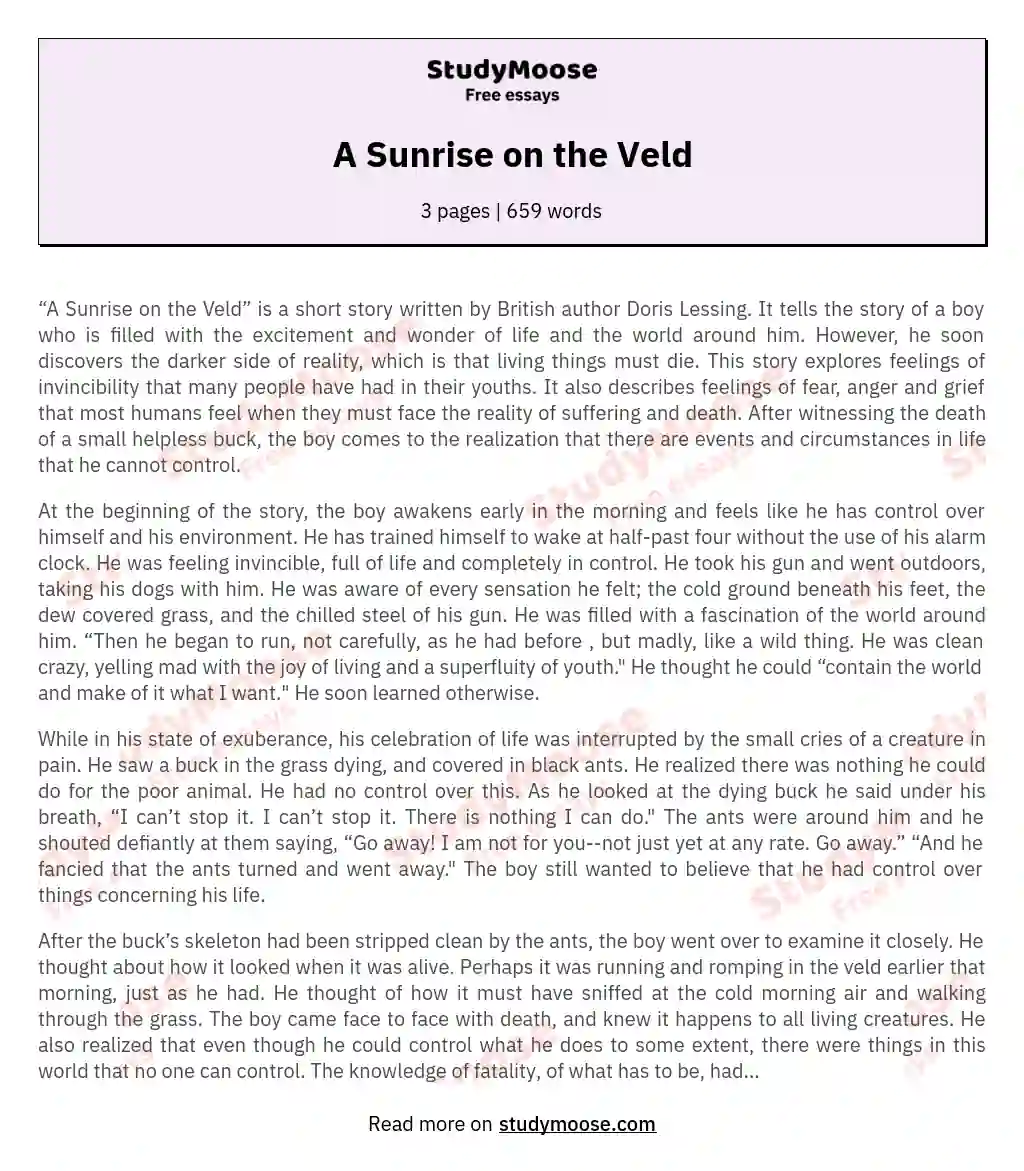 A Sunrise on the Veld essay
