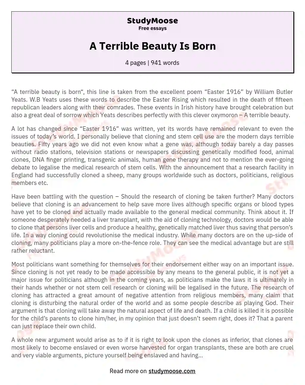 A Terrible Beauty Is Born essay