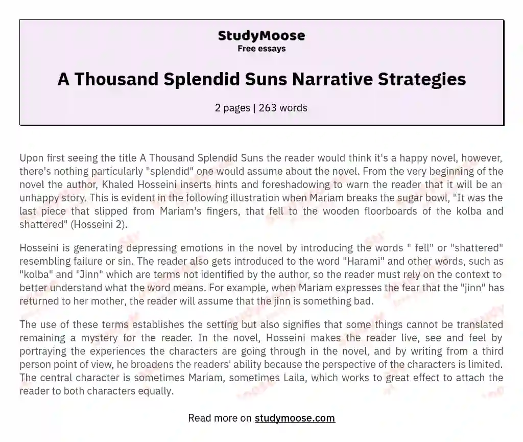 A Thousand Splendid Suns Narrative Strategies