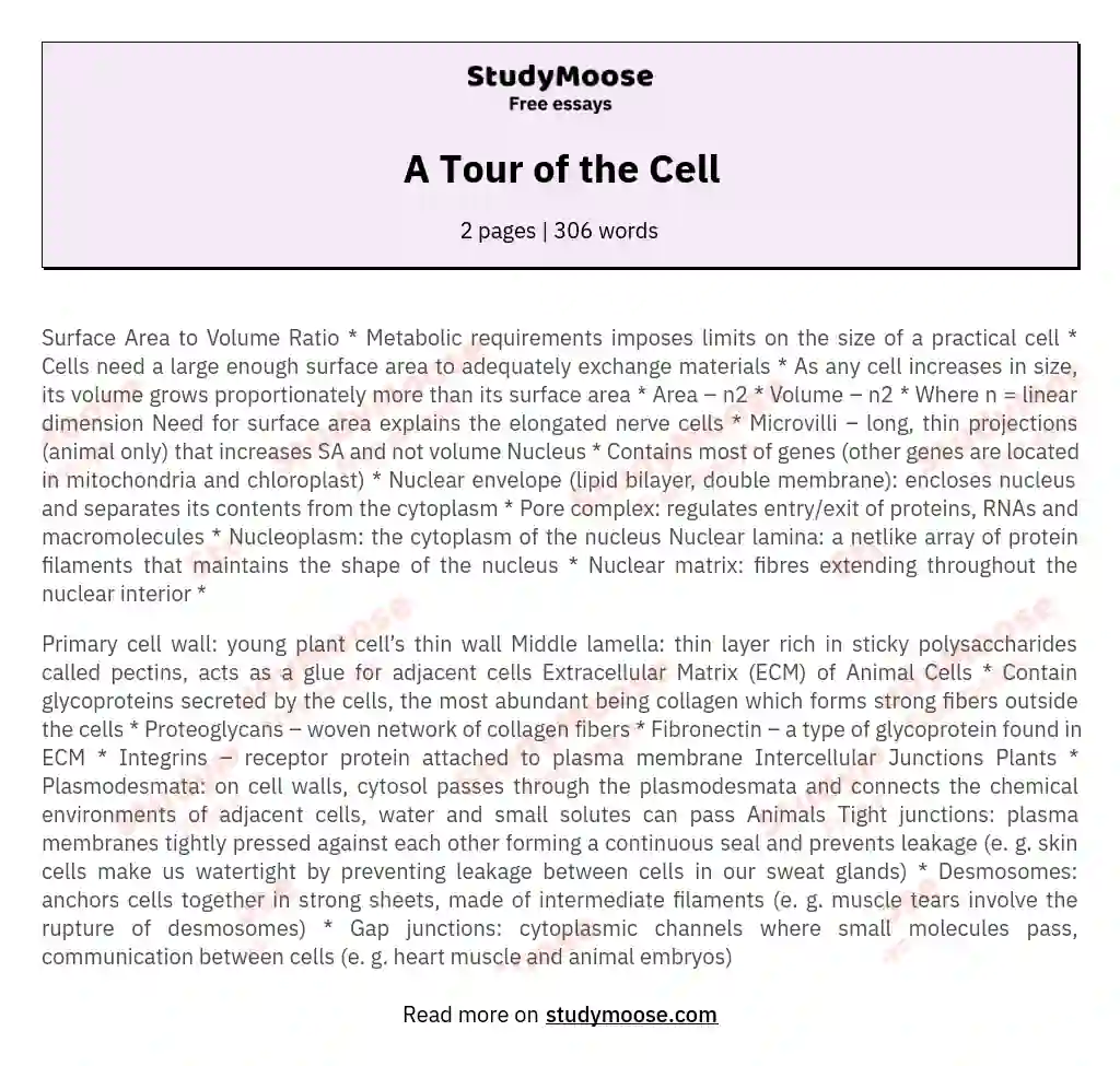 A Tour of the Cell essay