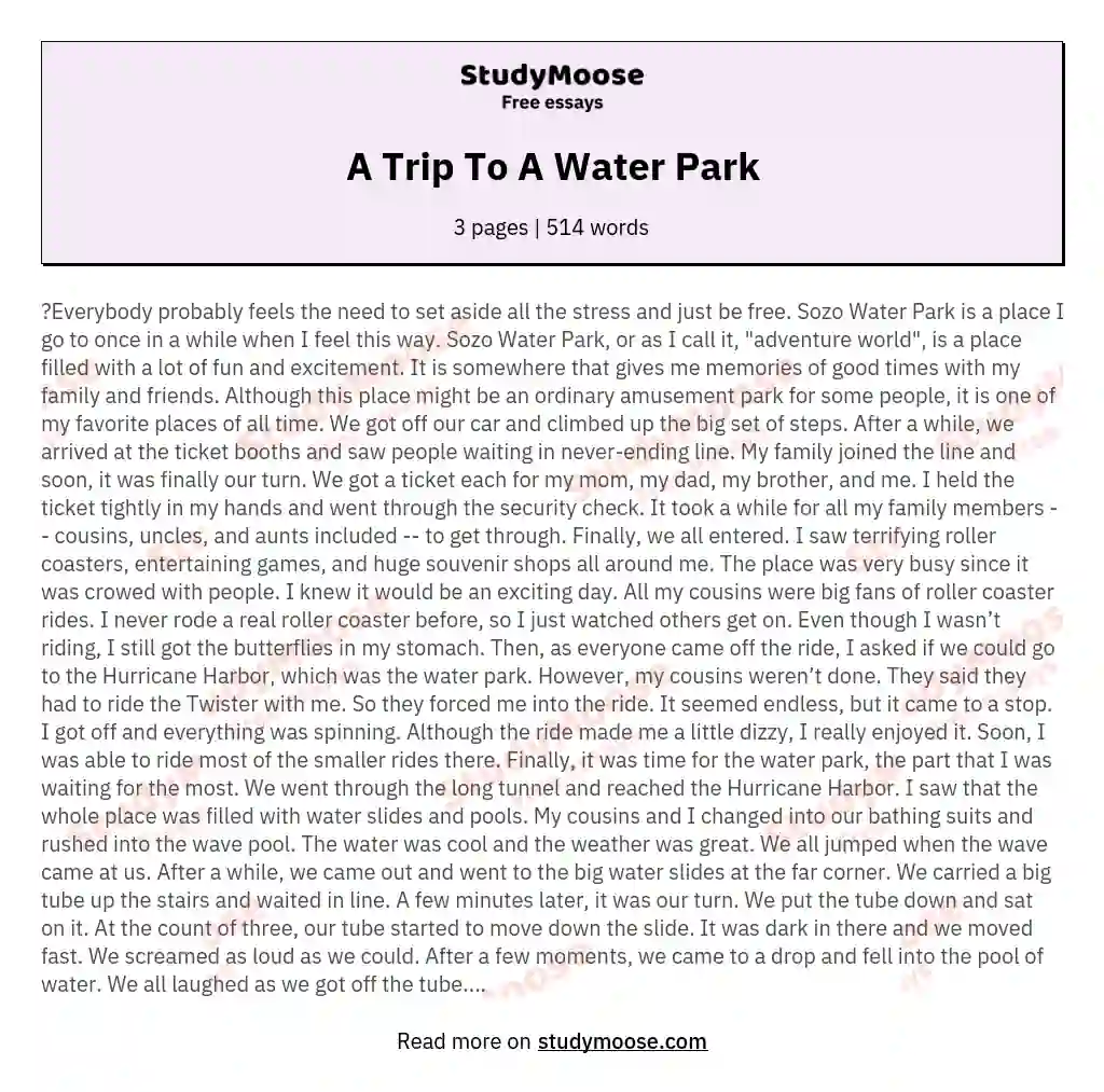 A Trip To A Water Park essay