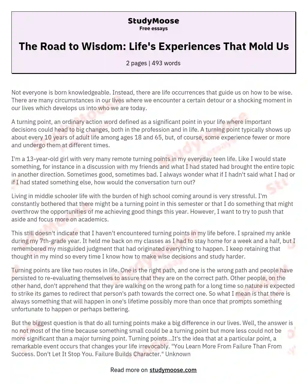 The Road to Wisdom: Life's Experiences That Mold Us essay
