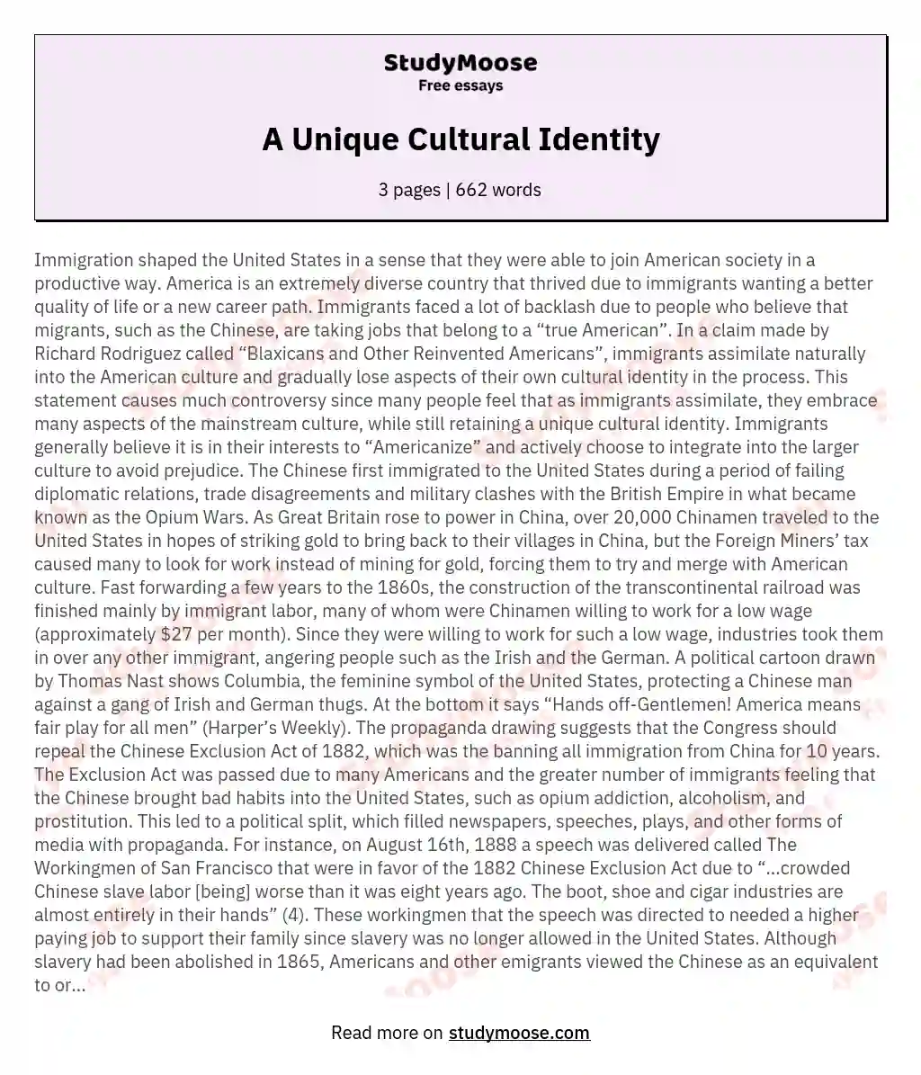 A Unique Cultural Identity essay
