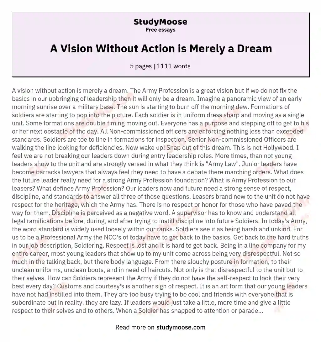 A Vision Without Action is Merely a Dream essay
