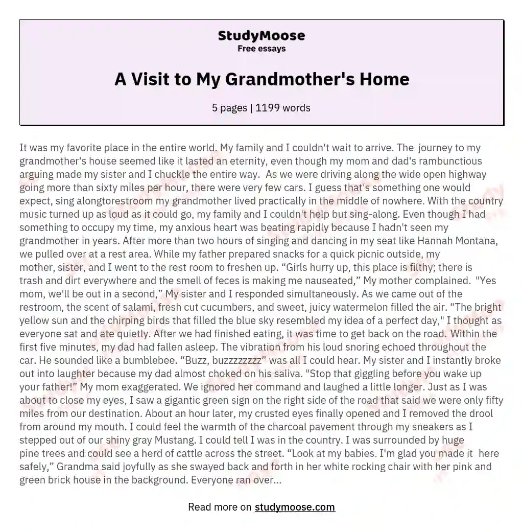 A Visit to My Grandmother's Home essay