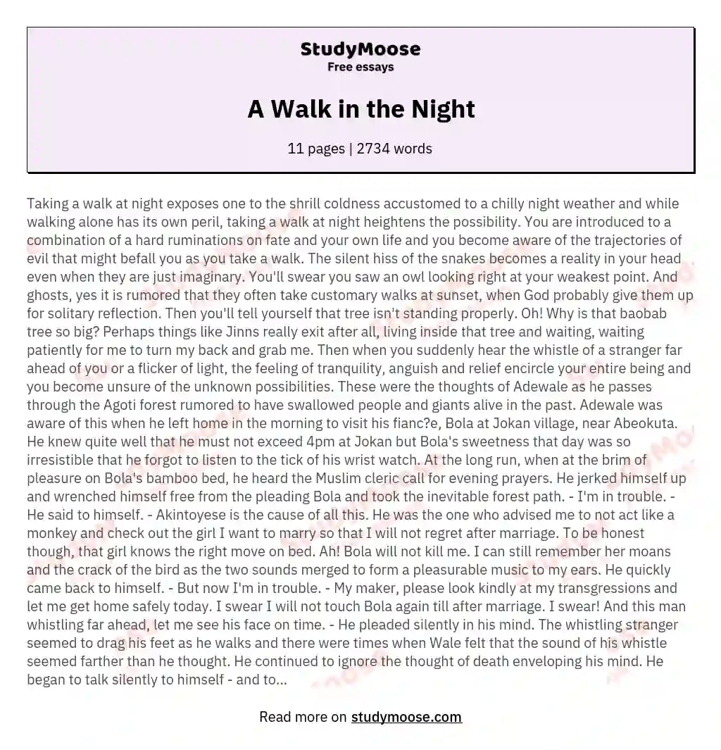 A Walk in the Night essay