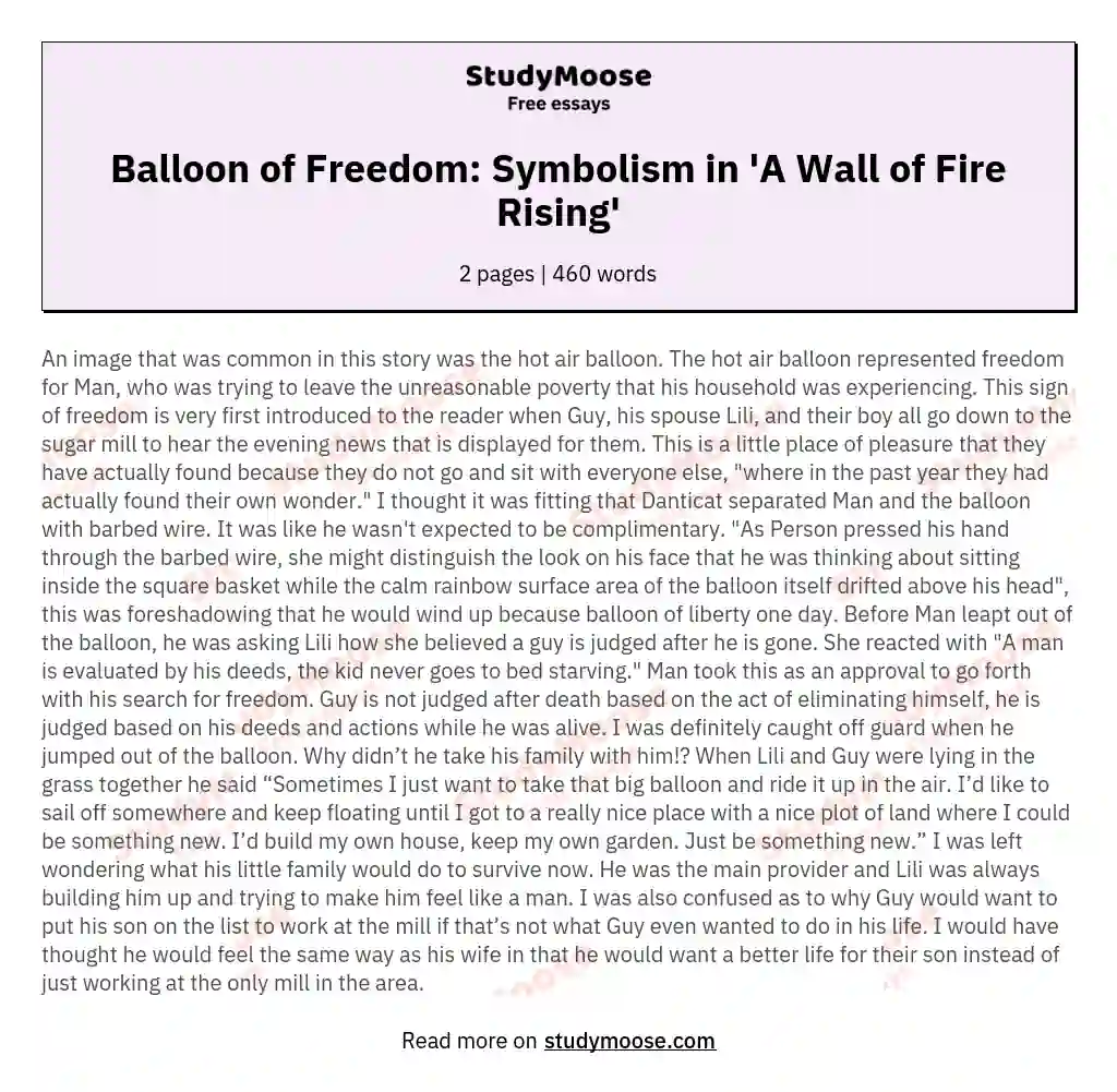 Balloon of Freedom: Symbolism in 'A Wall of Fire Rising' essay