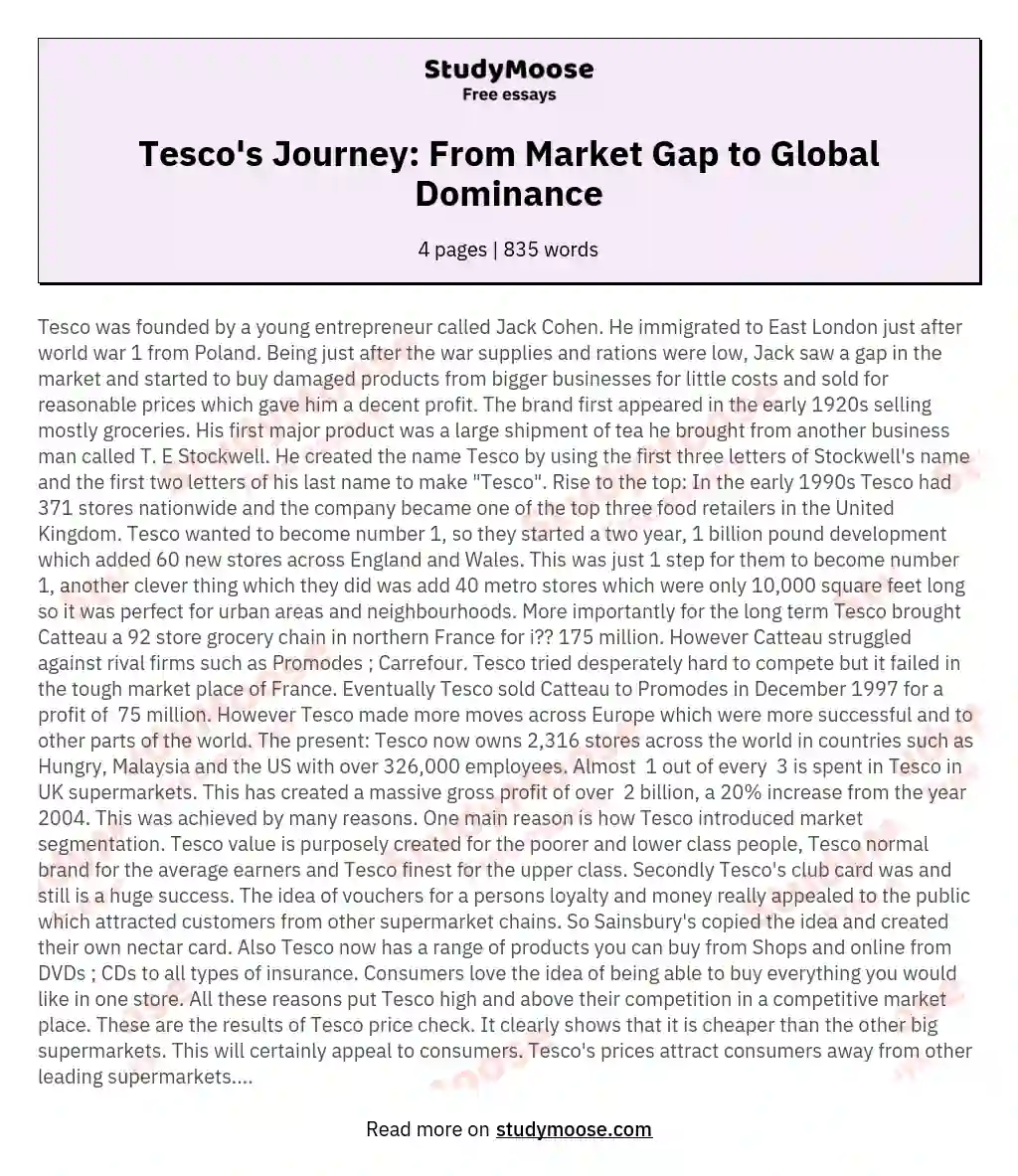 Tesco's Journey: From Market Gap to Global Dominance essay