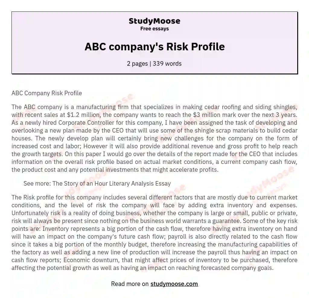 ABC company's Risk Profile essay