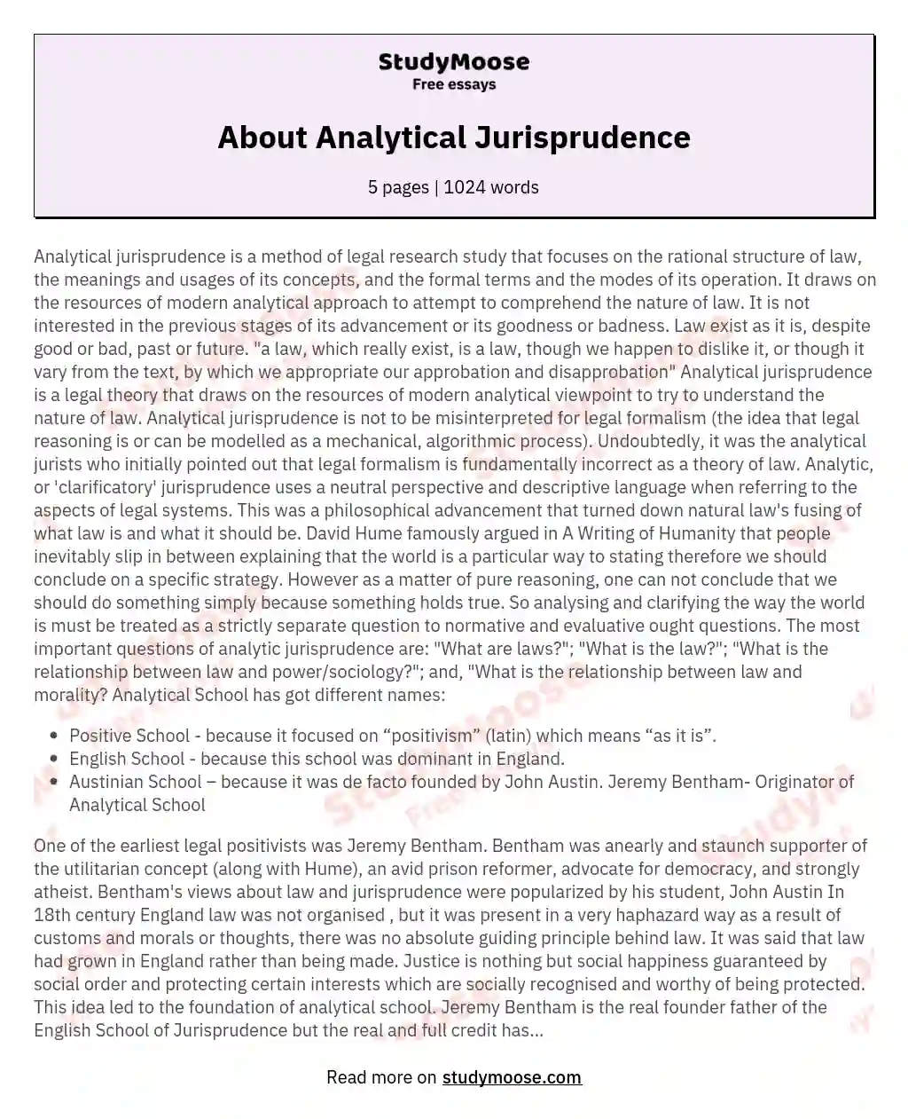 About Analytical Jurisprudence essay