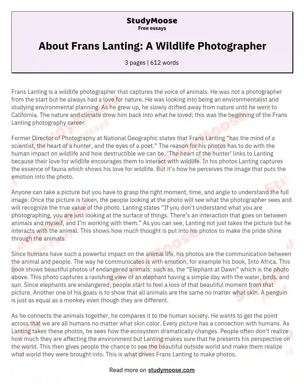 About Frans Lanting: A Wildlife Photographer essay