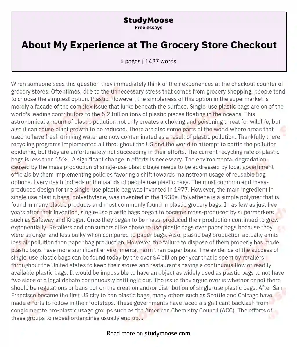About My Experience at The Grocery Store Checkout essay