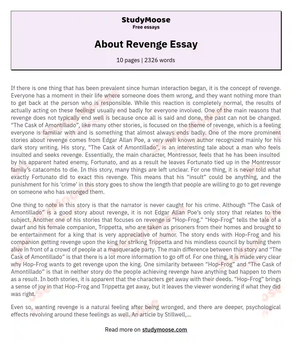 About Revenge Essay essay