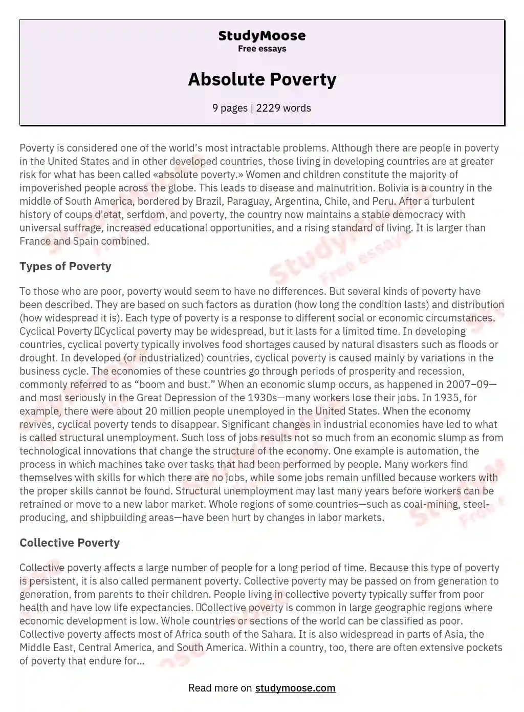 Absolute Poverty essay