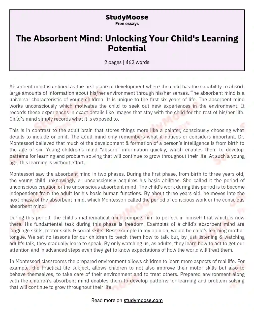 The Absorbent Mind: Unlocking Your Child's Learning Potential essay