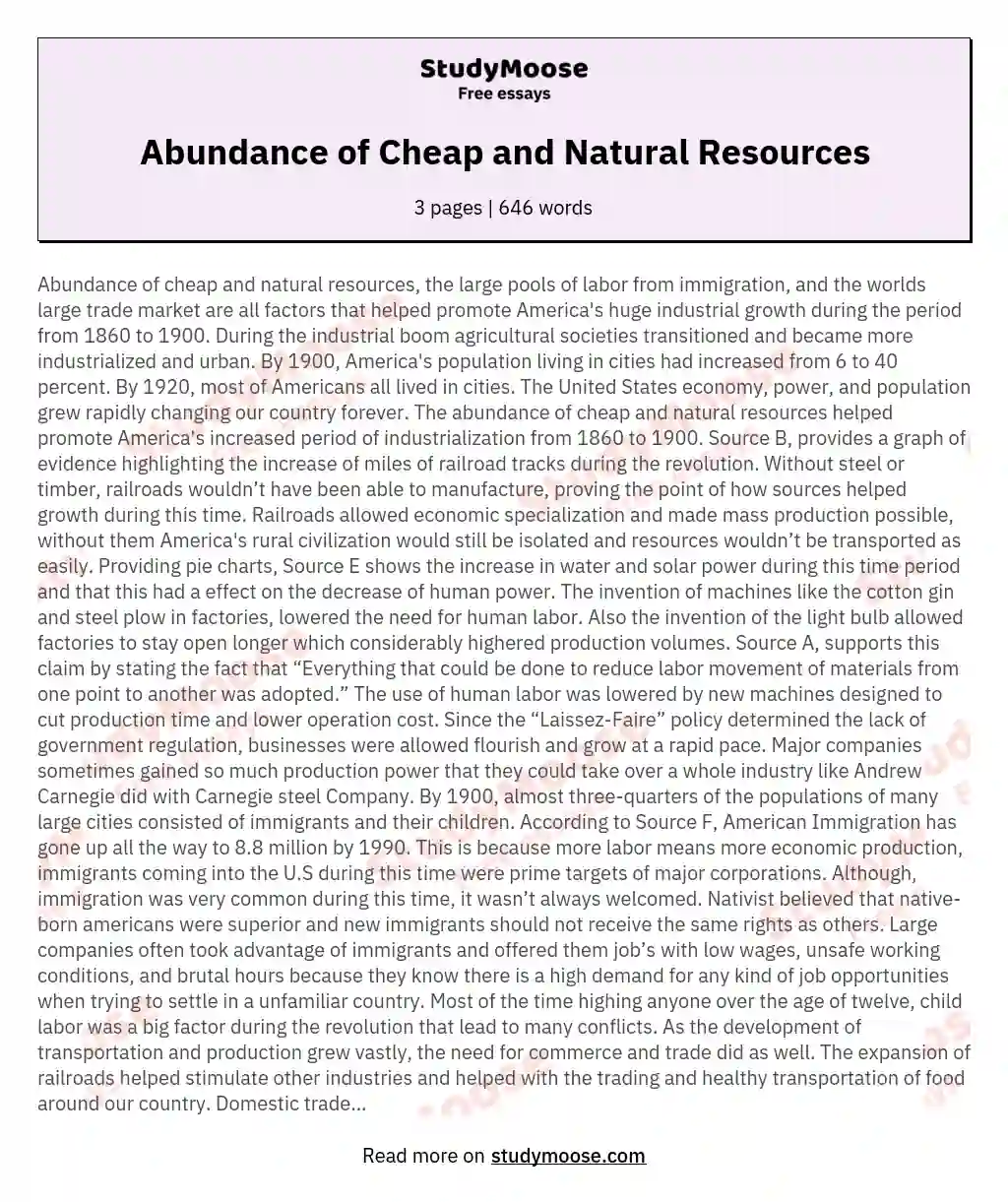 Abundance of Cheap and Natural Resources essay